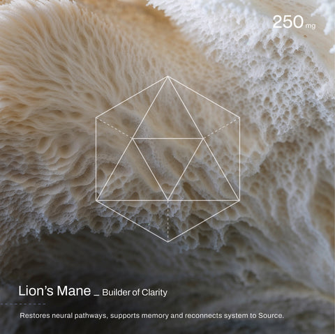 Quantum Mind _ Mind Elevation Gummies _ 60 Count